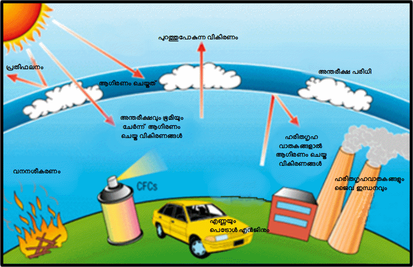 ozone depletion